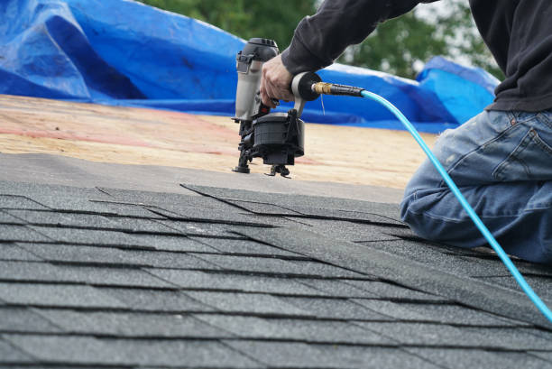 Best Roof Moss and Algae Removal  in Eton, GA