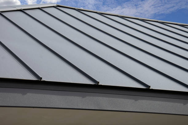 Best Metal Roofing Installation  in Eton, GA